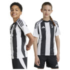 WHITE/BLACK